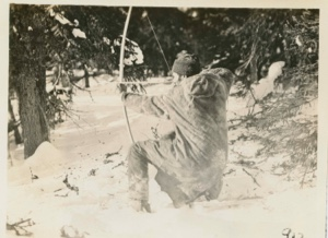 Image of Nascopie [Innu] -Nap-a-o Drawing bow